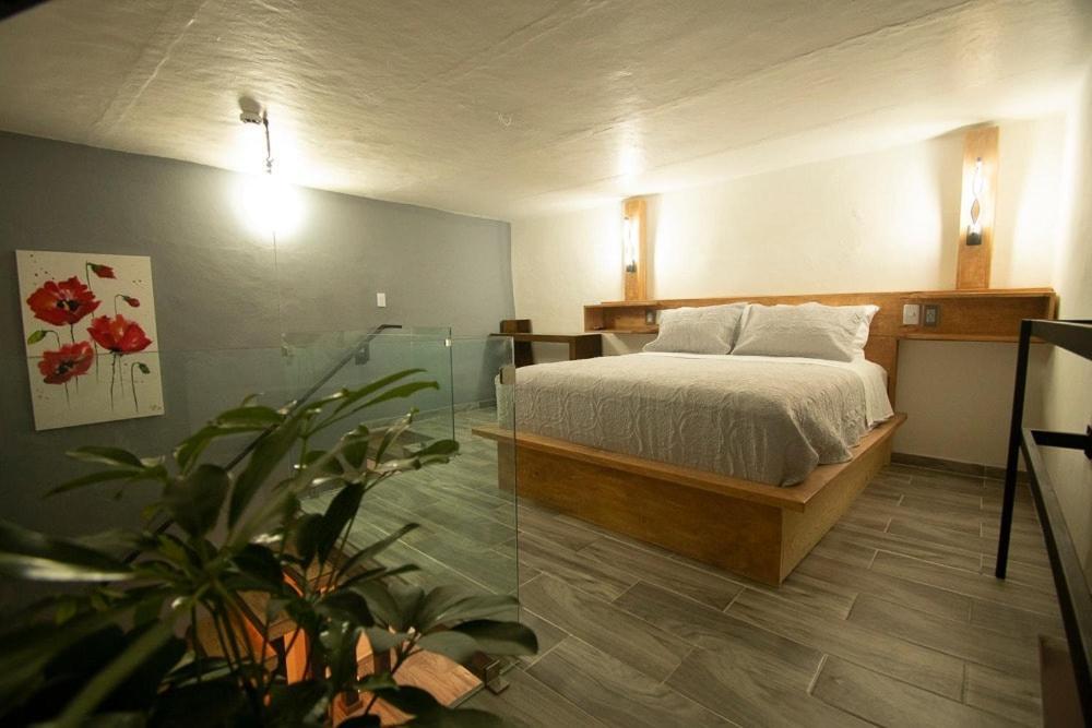 El Jardin De La Abuela Otel Querétaro Dış mekan fotoğraf
