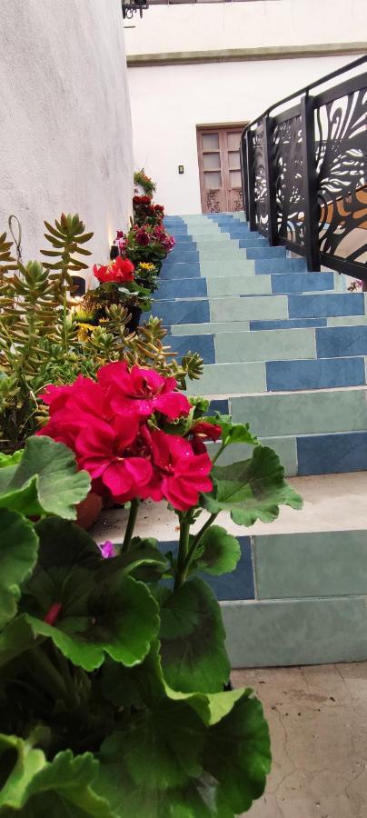 El Jardin De La Abuela Otel Querétaro Dış mekan fotoğraf