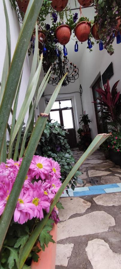El Jardin De La Abuela Otel Querétaro Dış mekan fotoğraf