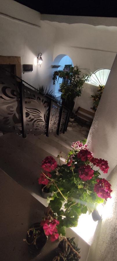 El Jardin De La Abuela Otel Querétaro Dış mekan fotoğraf