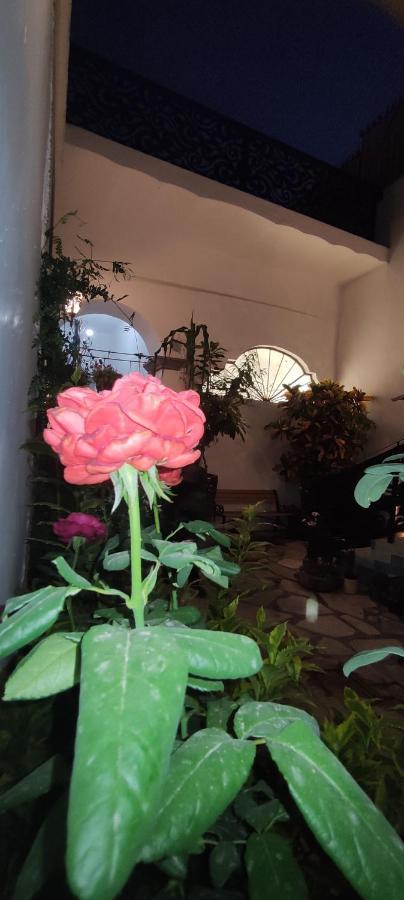 El Jardin De La Abuela Otel Querétaro Dış mekan fotoğraf